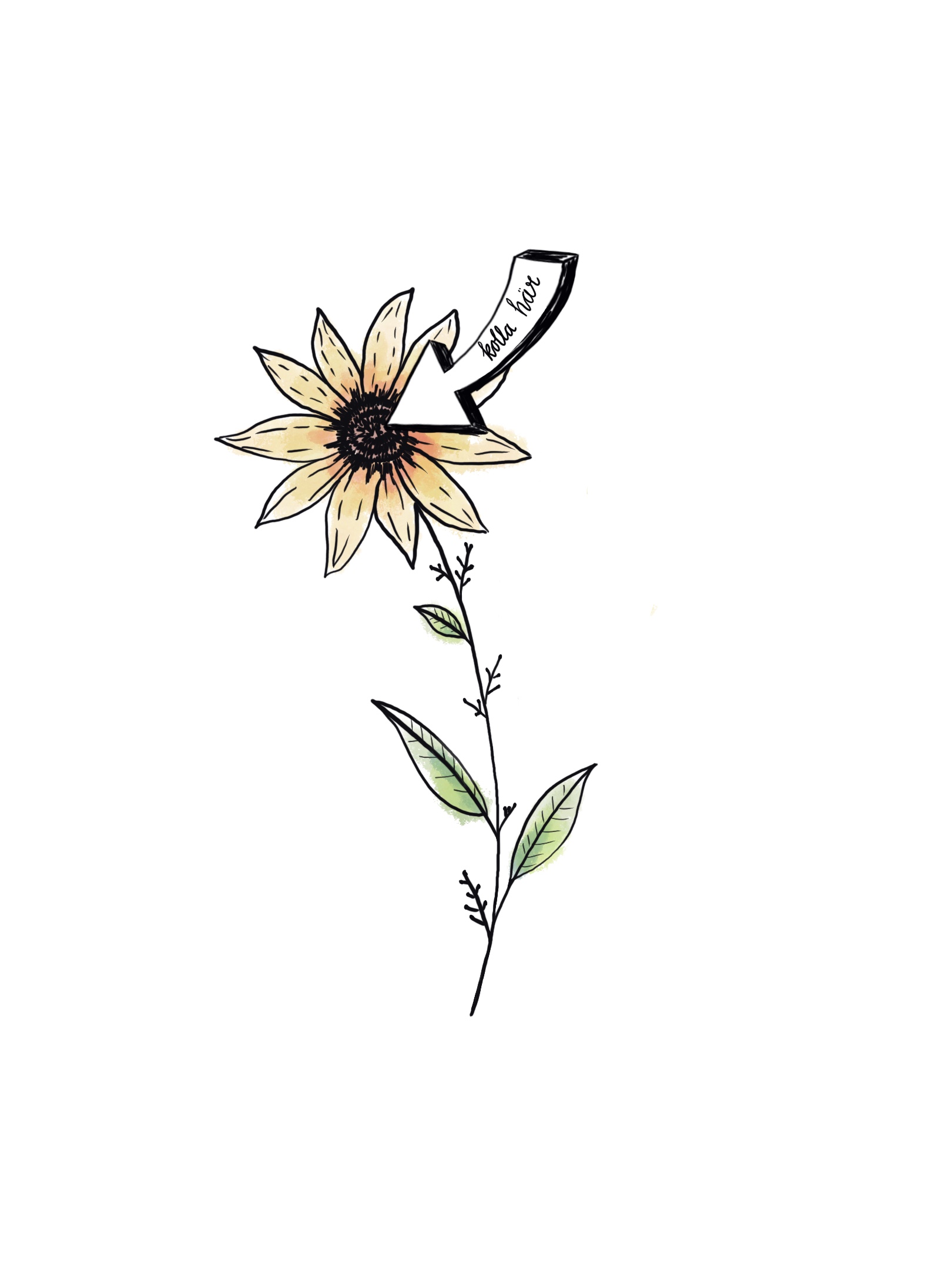 skördestadie_blommor_självplock